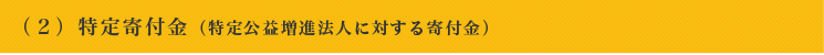 （２）特定寄付金（特定公益増進法人に対する寄付金）